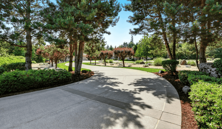 Concrete Driveway